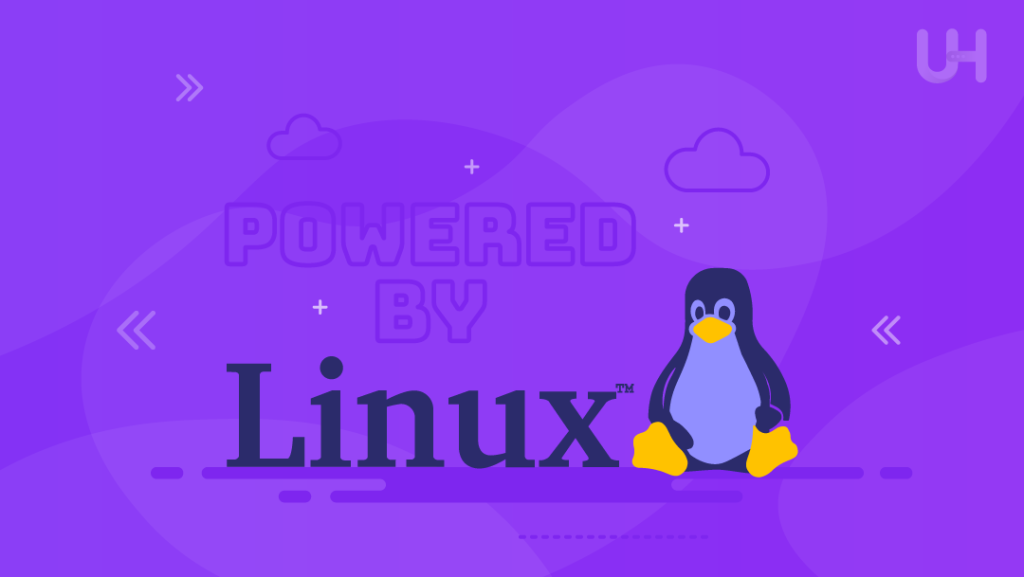 lightweight Linux distro