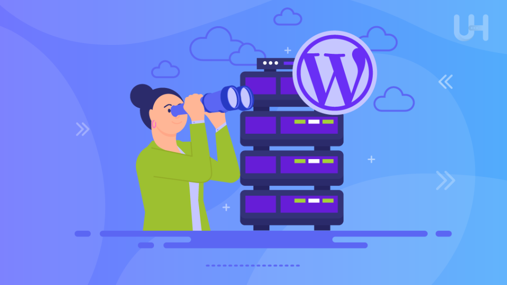 Maßgeschneidertes WordPress-Hosting für Agenturen