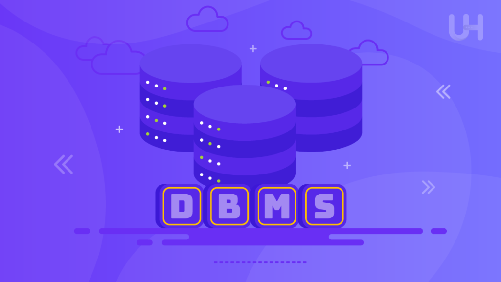 DBMS'nin Artıları ve Eksileri