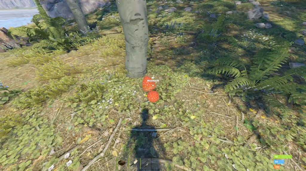 essentials in rust
