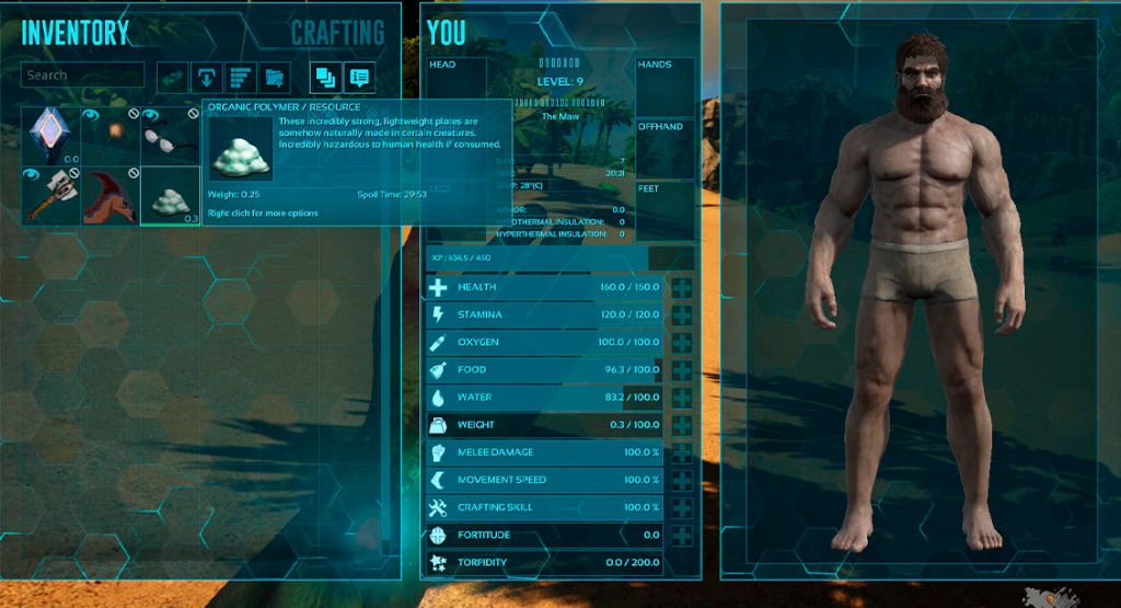inventory polymer
