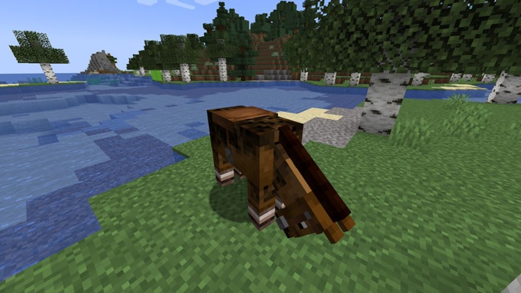 Taming Horse