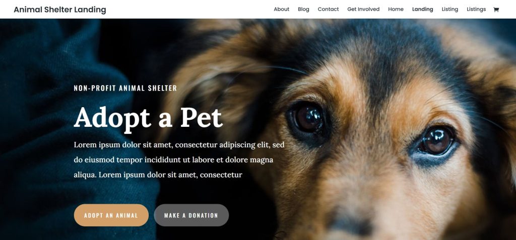 Divi WordPress Theme for Non-Profit Organizations