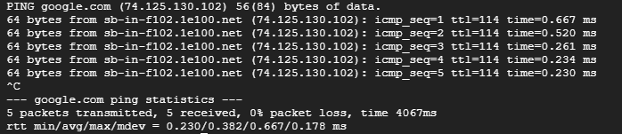ping google