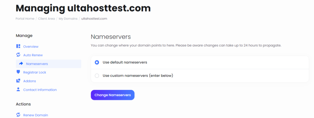 use custom nameservers