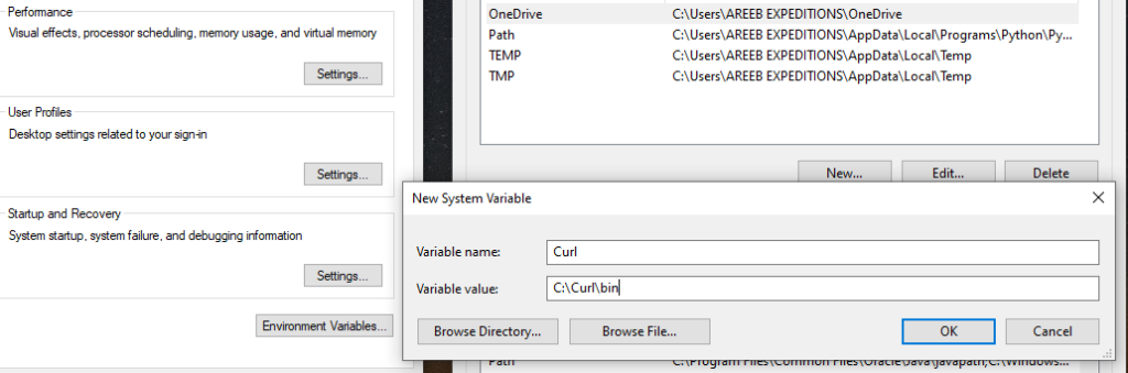 new system variable