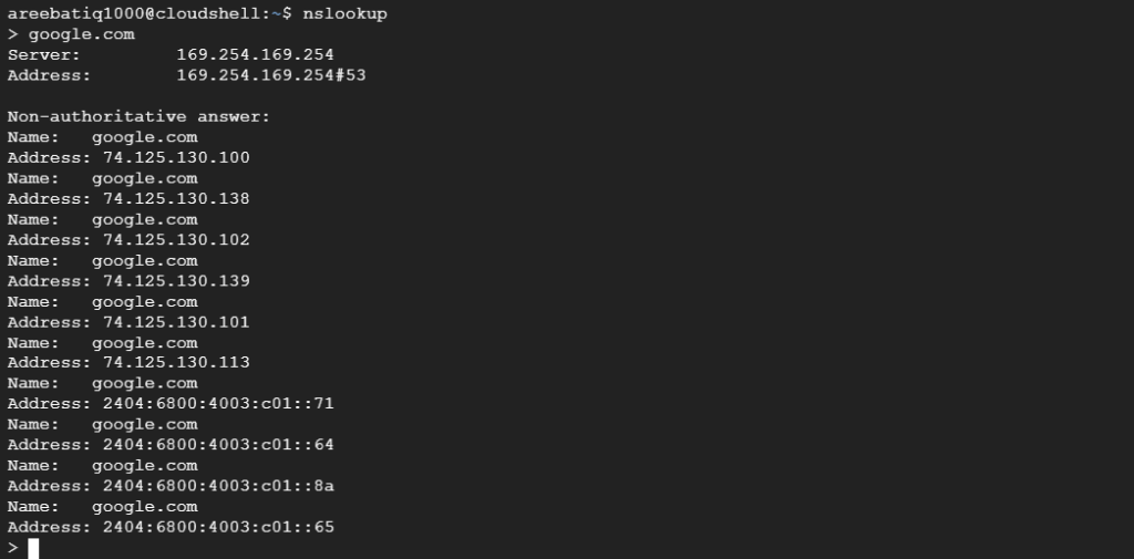 nslookup linux