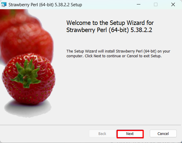 Downloading Perl on Windows