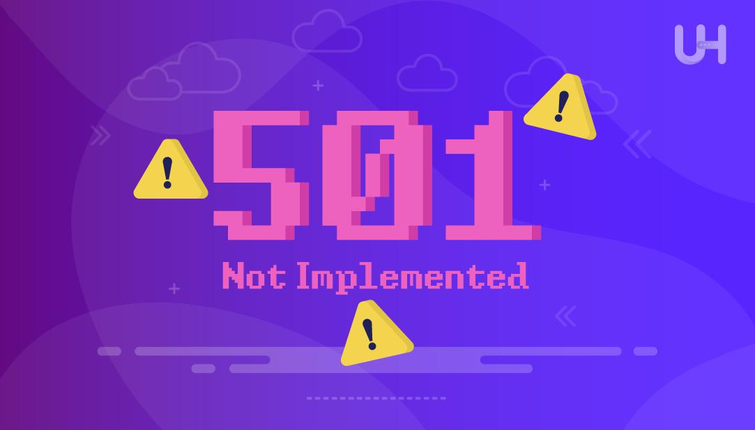 501 not implemented