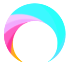 Rise CRM logo text