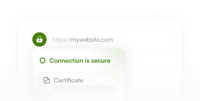 SSL setup guide